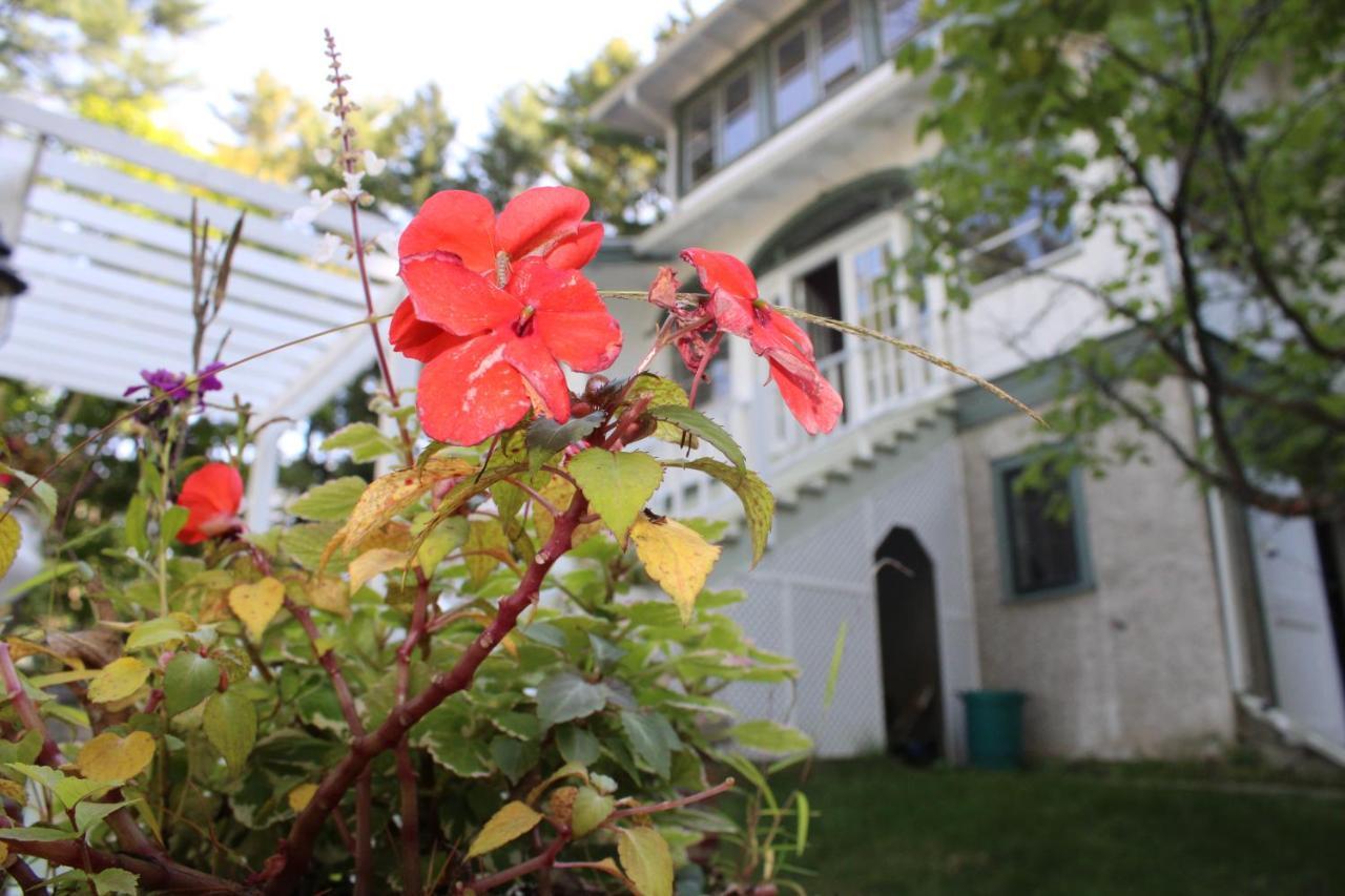 The Hillside B&B. Home W/ Breakfast Service! 威斯康星戴尔 外观 照片